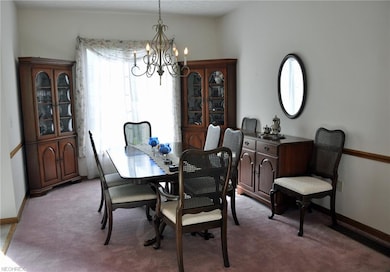 143 Mallard Creek Run, Lagrange, OH 44050 - photo 4