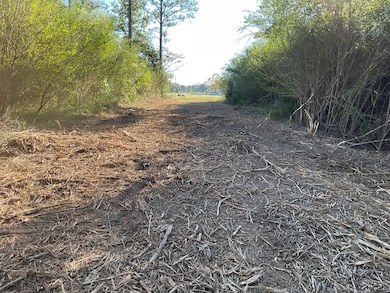 3114 Chapel Hill Rd, Rutledge, AL 36071 - photo 2