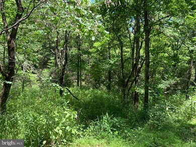 TBD Supinlick Ridge, Edinburg, VA 22824 - photo 2