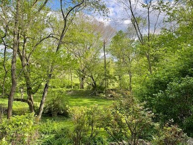 Backyard Privacy