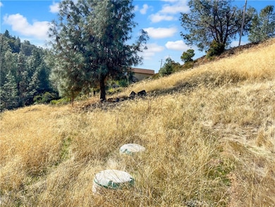 10203 El Capitan Way, Kelseyville, CA 95451 - photo 4