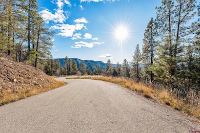 701 Durango Cliffs Dr, Durango, CO 81301 - photo 4