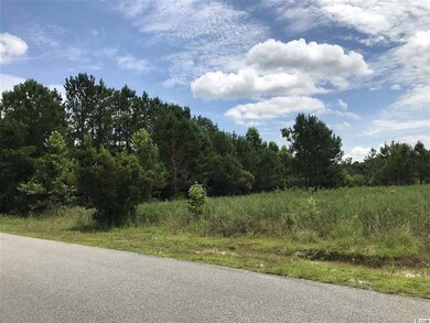 Lot 1 Chow Ln, Conway, SC 29526 - photo 2