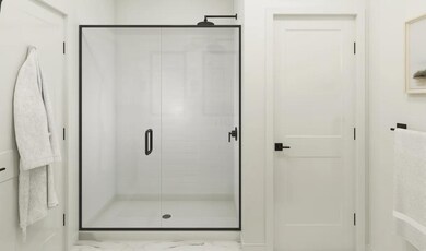 Primary Bath Shower