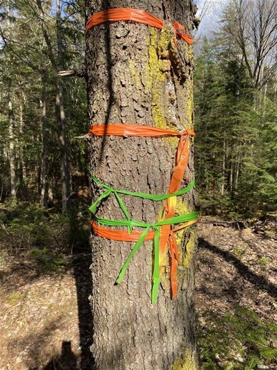 11-4 Wells Rd unit 11-4, Franconia, NH 03580 - photo 4