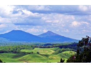 Veiw From Property