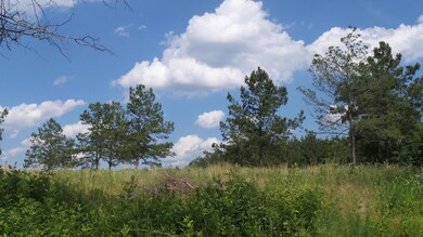 172 Dykes Rd, Soso, MS 39480 - photo 7