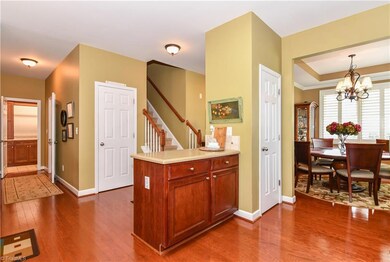 View from the kitchen