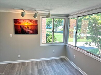 Lakeview from living room.
