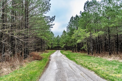 440 Paradise Ln, Crossville, TN 38572 - photo 3