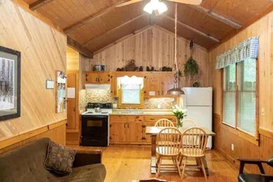 496 Beaver Dam Rd, Dahlonega, GA 30533 - photo 5