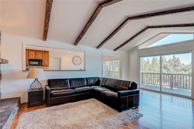 6809 N Hillside Way, Parker, CO 80134 - photo 5