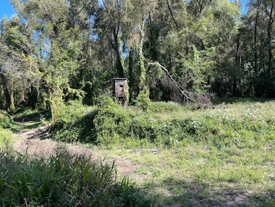 0 Cavass Rd, Woodville, MS 39669 - photo 7