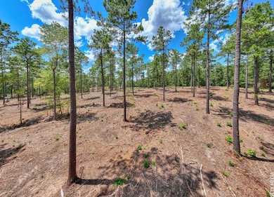 010 Farm To Market Road 83 unit Lot 10, Broaddus, TX 75929 - photo 3