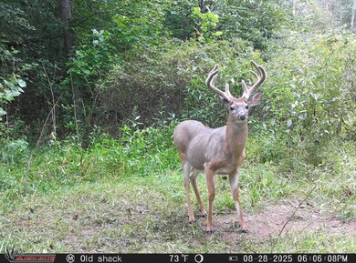 12170 State Route 93 N, Logan, OH 43138 - photo 4