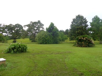 24487 Choctaw Rd, Franklinton, LA 70438 - photo 4