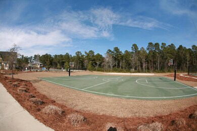 basketball and volleyball