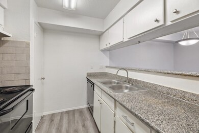 10101 Forum Park Dr unit 2036, Houston, TX 77036 - photo 3