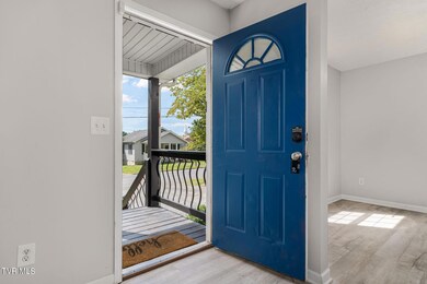509 Pardee St, Johnson City, TN 37601 - photo 5