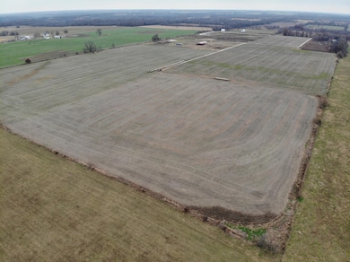 11465 W Farm Rd 76 Tract 5, Ash Grove, MO 65604 - photo 2