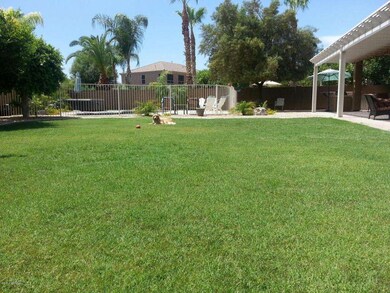 back yard
