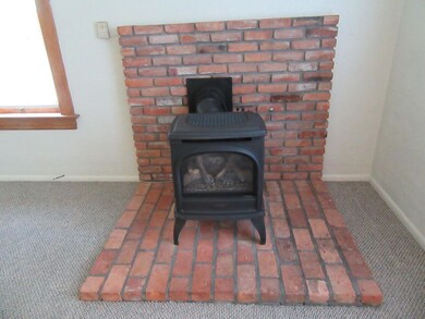 Gas fireplace