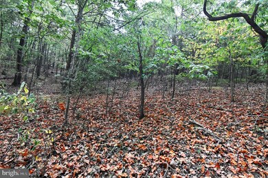 Lot 100 McCubbins Hollow Rd, Gerrardstown, WV 25420 - photo 7