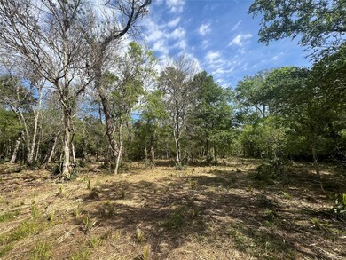 0 Cr 400 Tract 3, Brazoria, TX 77422 - photo 5