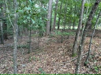 111 N Hunter Ln, Troy, AL 36079 - photo 6