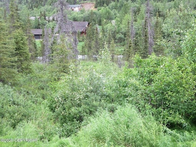 Lot 6