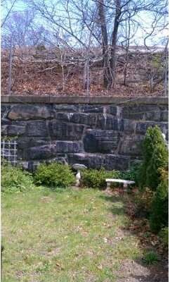 28 Robey St, Roxbury, MA 02119 - photo 3