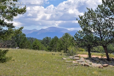 25 Arrowhead Dr, Florissant, CO 80816 - photo 5