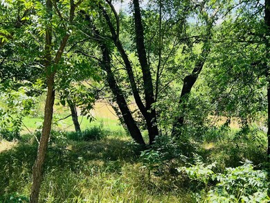 340 S Lazy Bend Estates Rd, Millsap, TX 76066 - photo 5