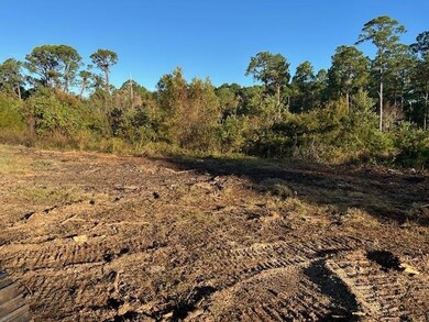 0 Dauphin Island Pkwy unit 7689972, Coden, AL 36523 - photo 6