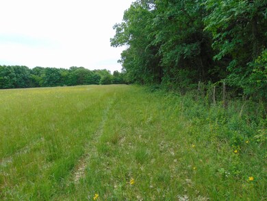 0 Whitaker Rd unit 1732233, Shelbyville, TN 37160 - photo 7