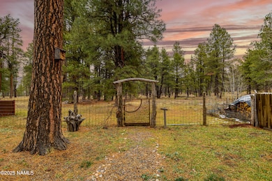 419 Kiowa unit 3, Flagstaff, AZ 86001 - photo 5