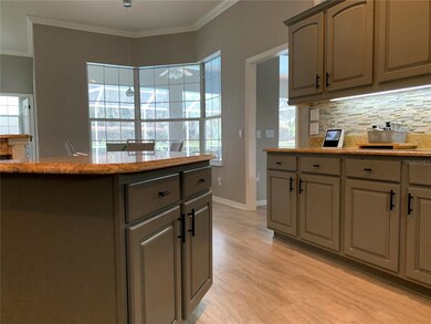 19538 SW 86th Ln, Dunnellon, FL 34432 - photo 3