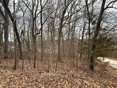 Lot 126 & 127 Mockingbird Ct Ridgedale (