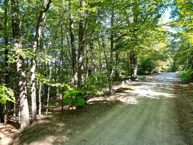 16 Jungfrau Rd, Madison, NH 03849 - photo 4