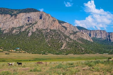 26101 Highway 141, Whitewater, CO 81527 - photo 2