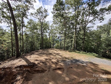 79 Bacon Dr unit 3, Bryson City, NC 28713 - photo 2