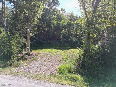 0 Greenlawn Rd unit 5172176, Quaker City, OH 43773 - photo 4