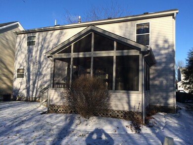 Rear Elevation