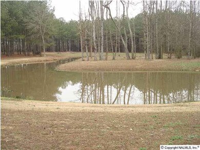 VIEW OF POND AND BACK OF PROPERTY