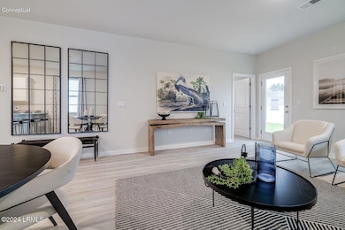 1161 Sanctum St, Ridgeland, SC 29936 - photo 5