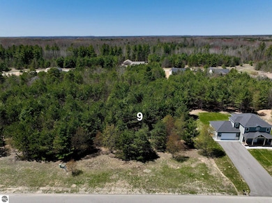 2994 Michele Marie unit 9, Grawn, MI 49637 - photo 3