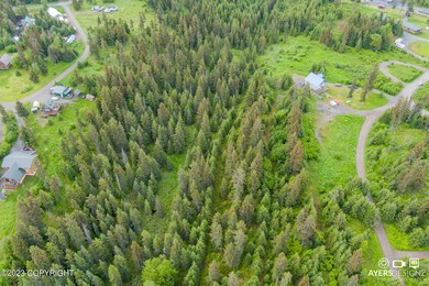 34960 Seabury Ct, Anchor Point, AK 99556 - photo 2