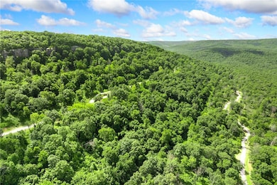 Lot 65 Restore Ridge, Harrison, AR 72601 - photo 5