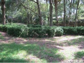 LARGE BACK YARD