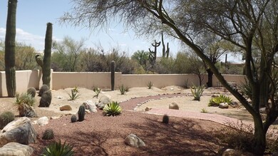 Back yard.